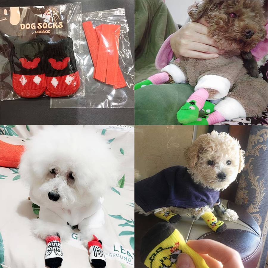 Chaussons en coton multicolores pour chiens