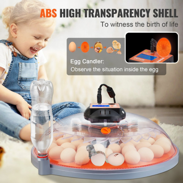 Couveuse œuf automatique a couver retournement automatique - 48 œufs - contrôle température humidité