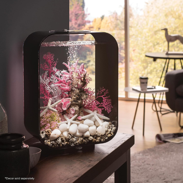 Aquarium led design - noir