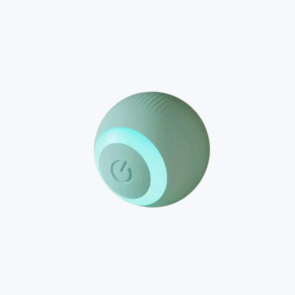 Balle interactive chat