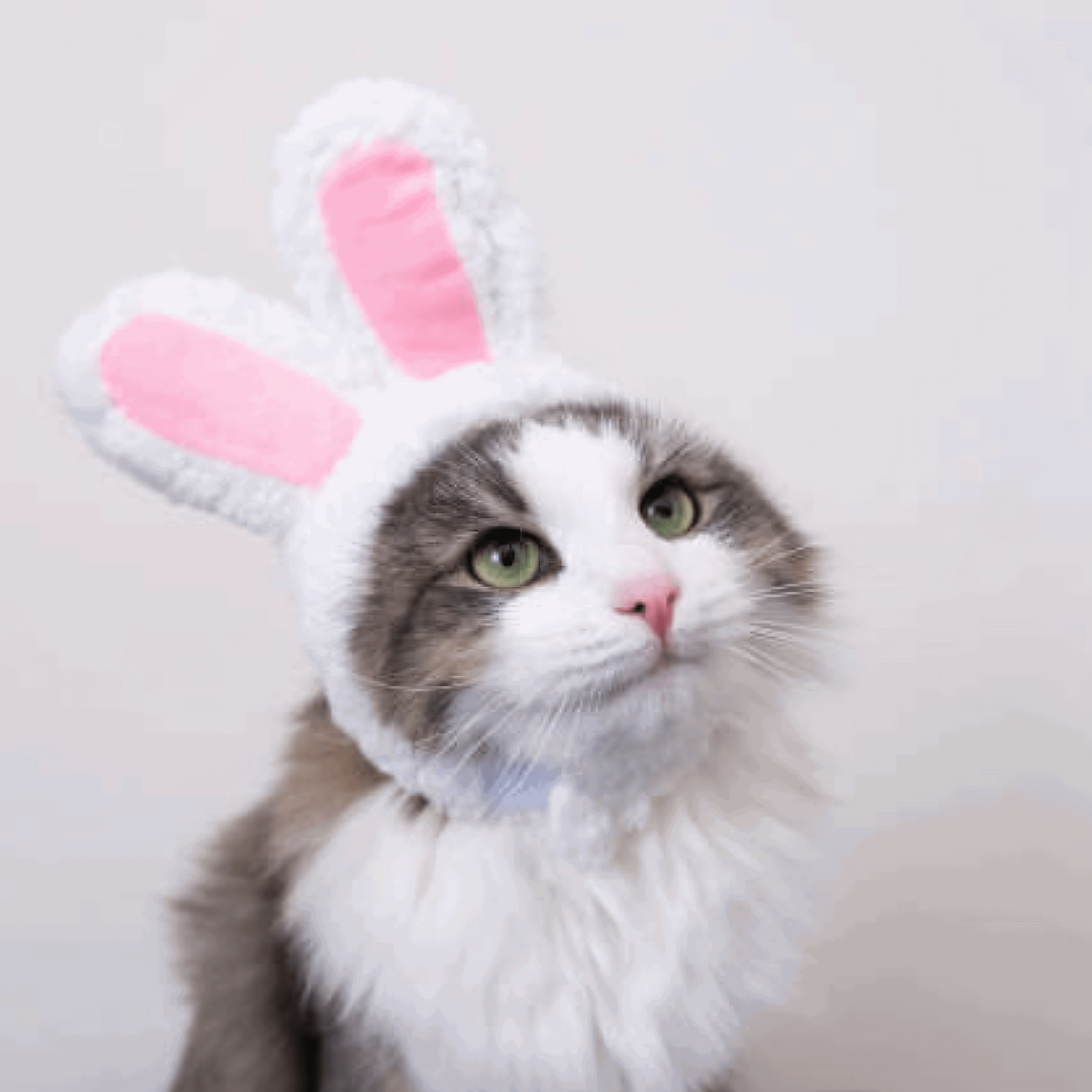 Déguisement tête pour chat