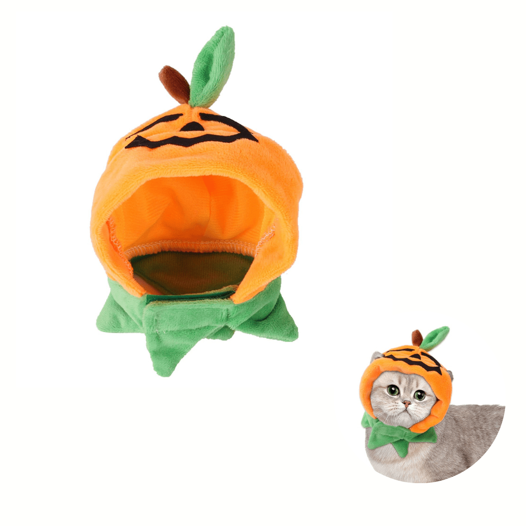 Déguisement tête pour chat