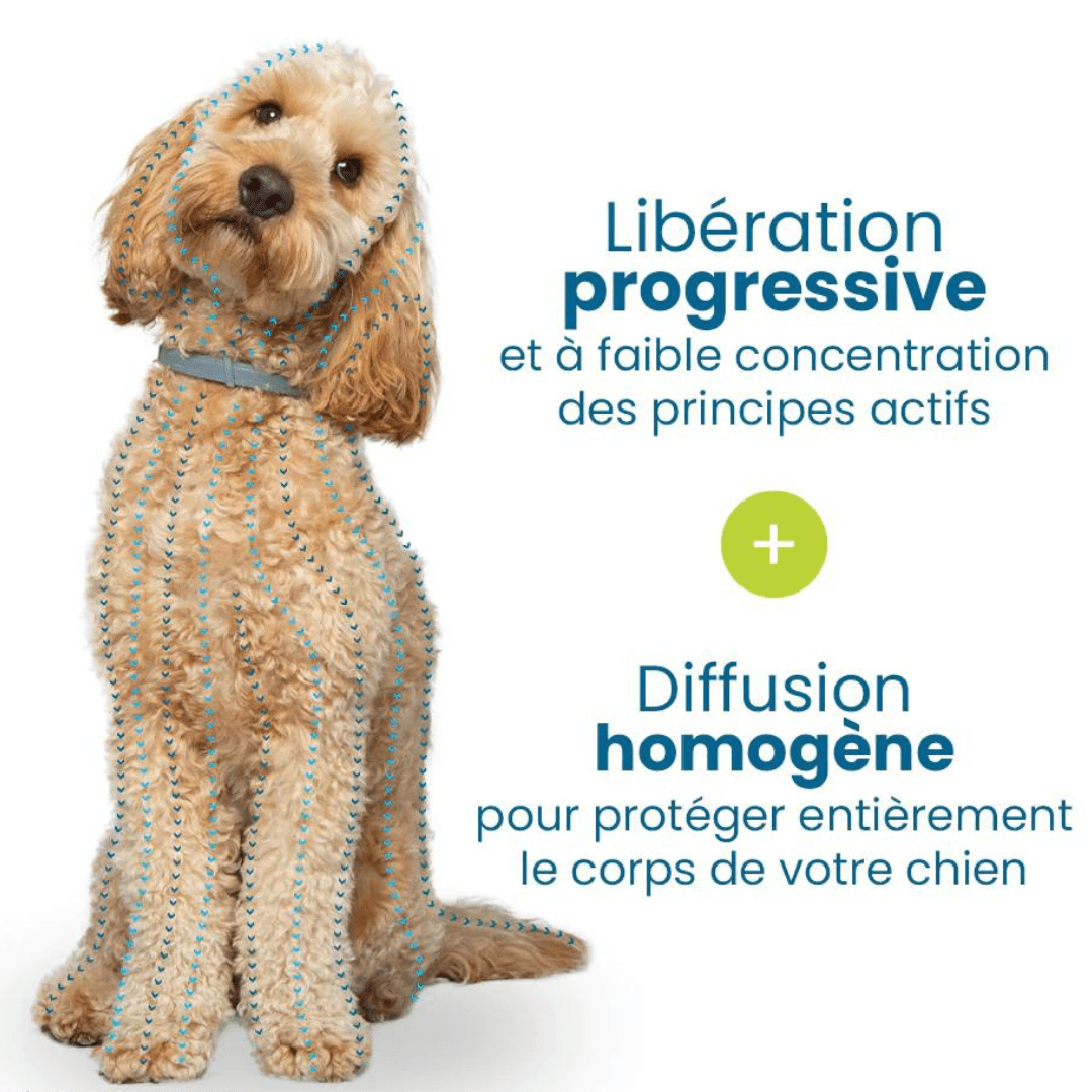 Collier anti-puces et anti-tiques pour chien et chat