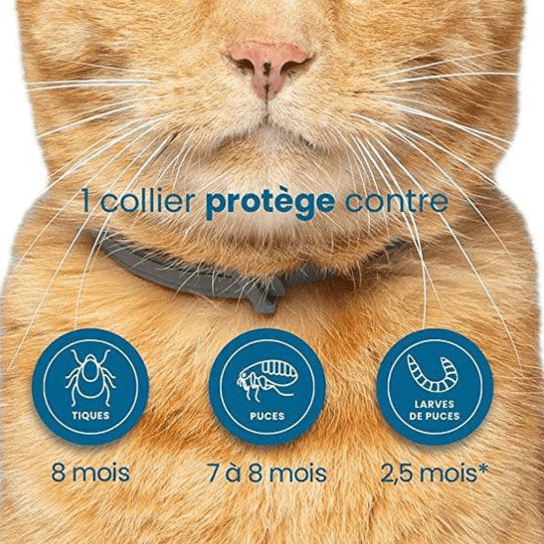 Collier anti-puces et anti-tiques pour chien et chat