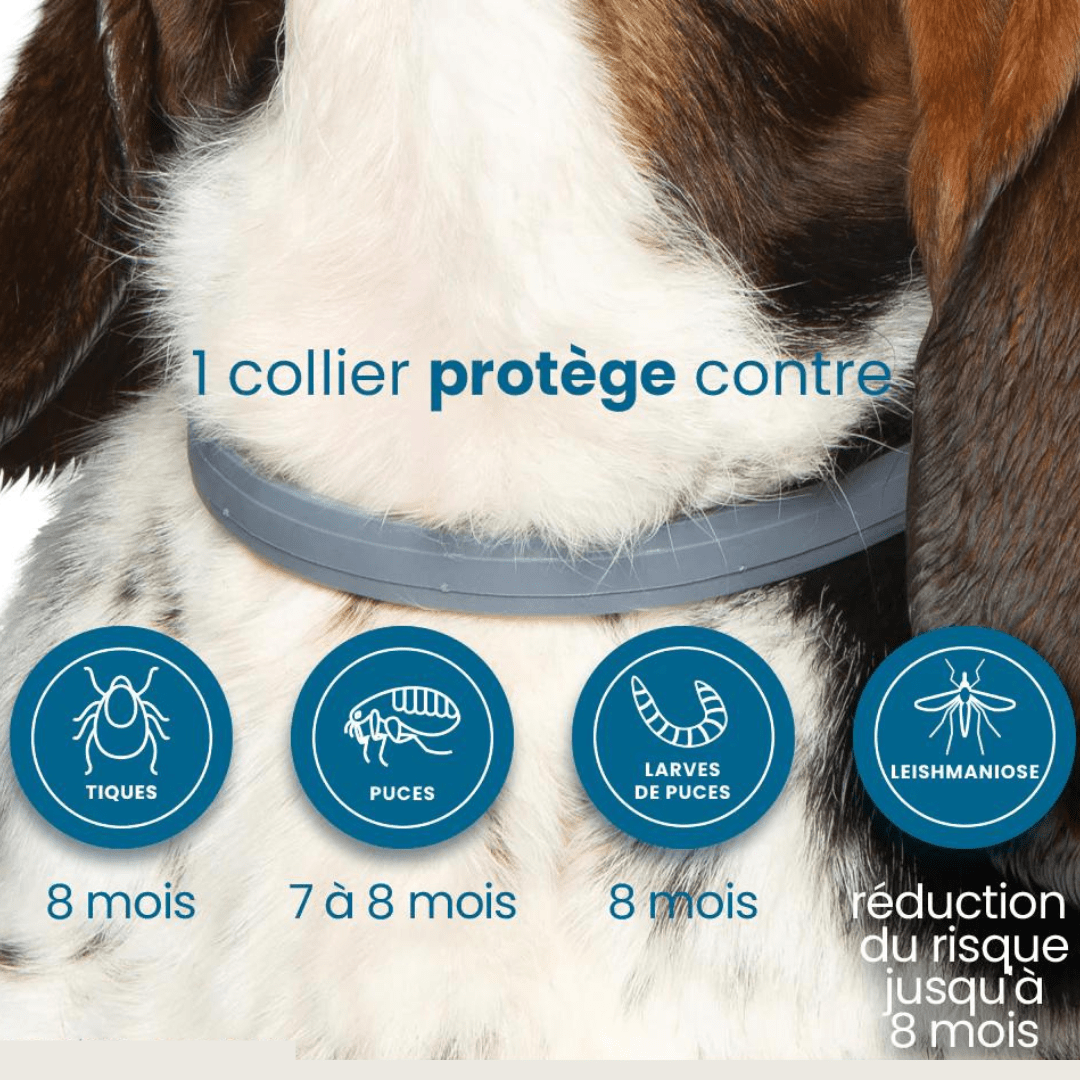 Collier anti-puces et anti-tiques pour chien et chat