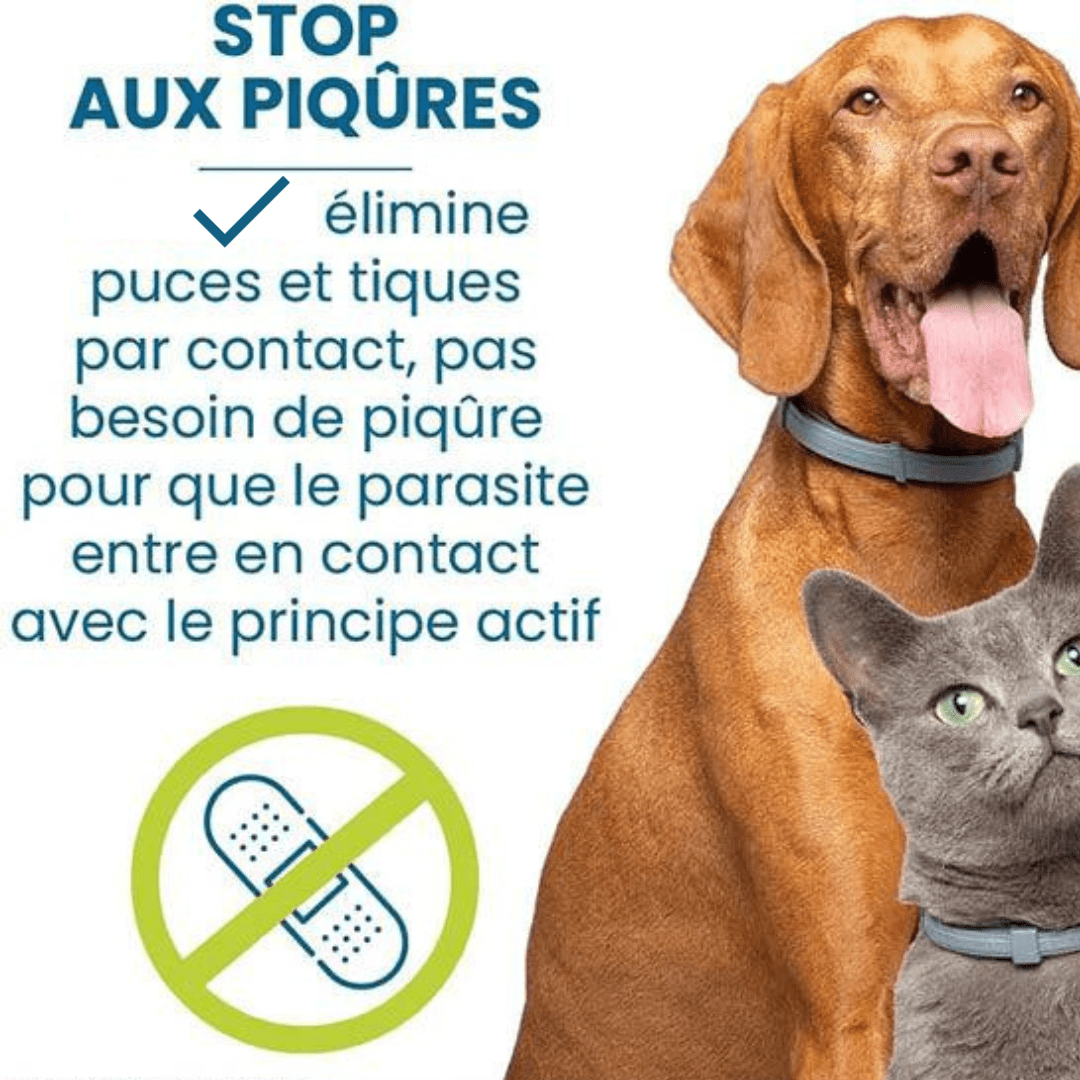 Collier anti-puces et anti-tiques pour chien et chat