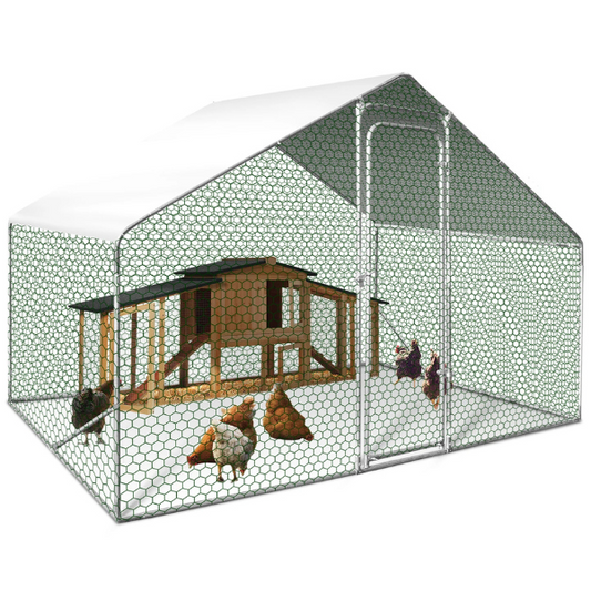 Enclos Poulailler 6 m² Parc Grillagé 3x2 M Acier Galvanisé