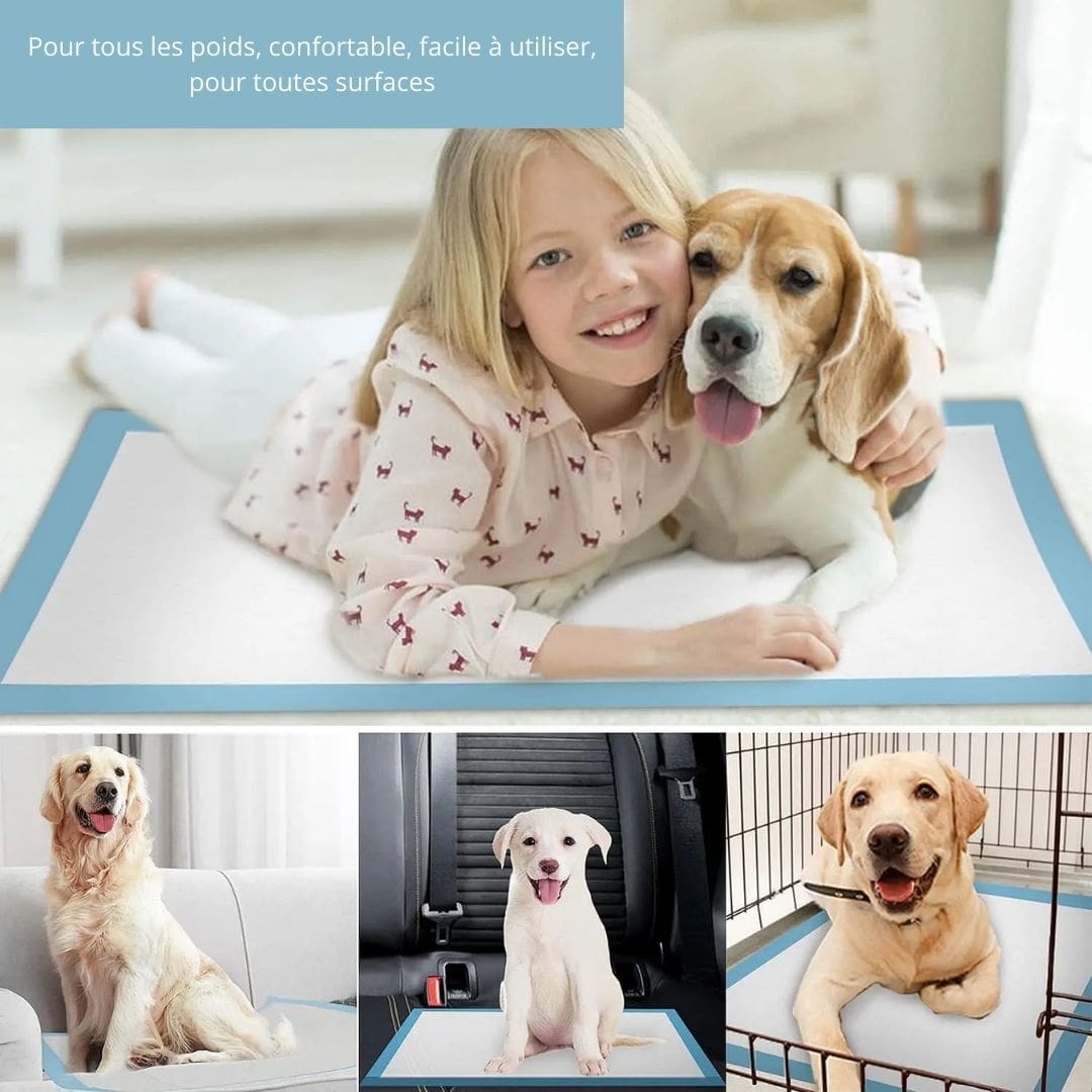 Tapis de dressage absorbant pour chien