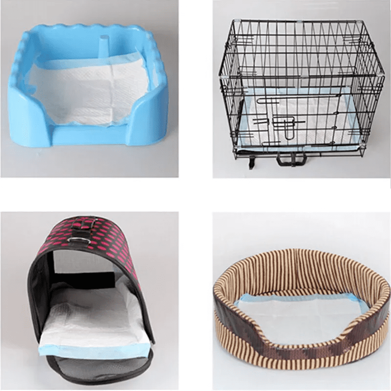 Tapis de dressage absorbant pour chien