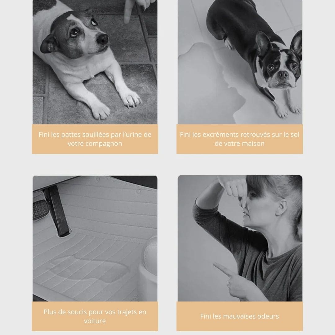Tapis de dressage absorbant pour chien